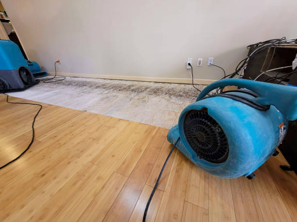 Professional Burst Pipe Water Damage technician working in Happy Valley, OR